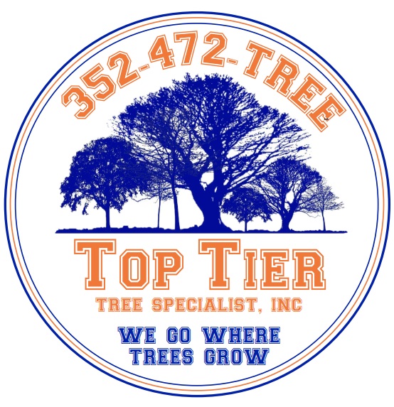Top Tier Tree Specialist